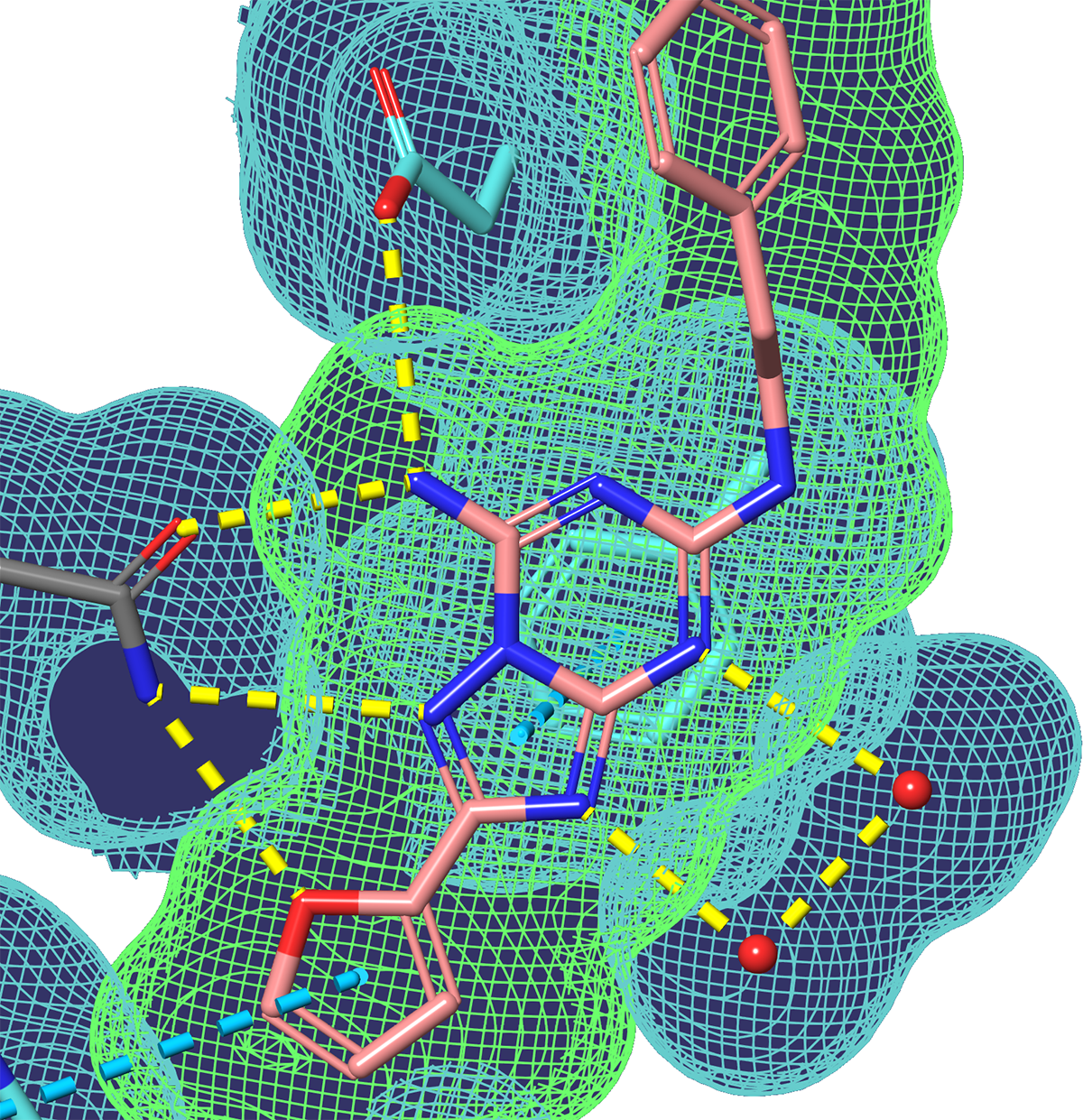 Structure of a Human A2A Adenosine Receptor bound to ZM241385